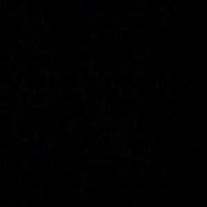 Meet your Posher, Gwen